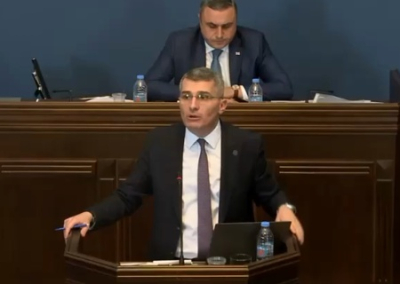 Грузинские депутаты подрались во время рассмотрения закона об иноагентах
