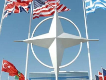«Лиса больше лазить в курятник не будет — вырос волкодав»: Гаврилов о расширении НАТО