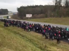 В Белоруссии сотни мигрантов направились к границе с Польшей