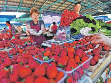 Украинские овощи и ягоды рекордно снизили цены на сельхозпродукцию в Крыму