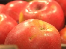 Министерство обороны Украины закупает для ВСУ яблоки в три раза дороже рыночной цены