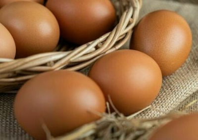 Производители куриного яйца говорят, что цены на него не снизятся