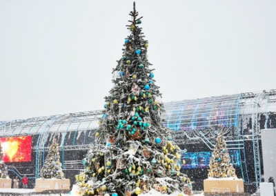 Многие города России не будут масштабно праздновать Новый год