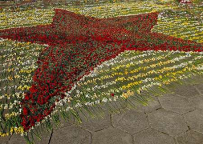 В Латвии сажают под арест за возложение цветов к местам снесённых памятников советским воинам