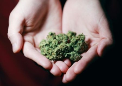Комитет Рады поддержал легализацию марихуаны на Украине