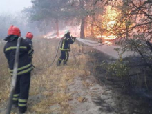 В Раде потребовали уволить руководство Луганской области за гибель людей в ходе лесных пожаров