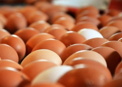 Федеральная антимонопольная служба возбудила первые дела на производителей яиц с завышенными ценами