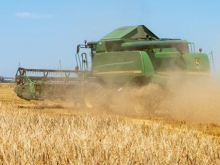 В Запорожской и Херсонской областях высокая урожайность зерновых, несмотря на сжигание полей ВСУ
