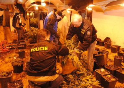 В Чехии увеличился объём продаж наркотиков из-за беженцев с Украины