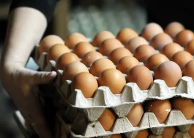 ФАС выявила картельные сговоры производителей яиц в Донбассе, Кузбассе, Иваново и Воронеже