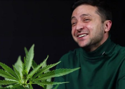 «Восстановление по-украински»: Зеленский собрался выращивать марихуану в Крыму