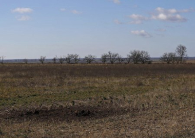 За год деградации подверглись 1/4 всех плодородных земель Украины
