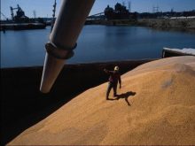 Польша вывезла с Украины более 2 млн тонн зерна. Зерновой сделке необходимы корректировки
